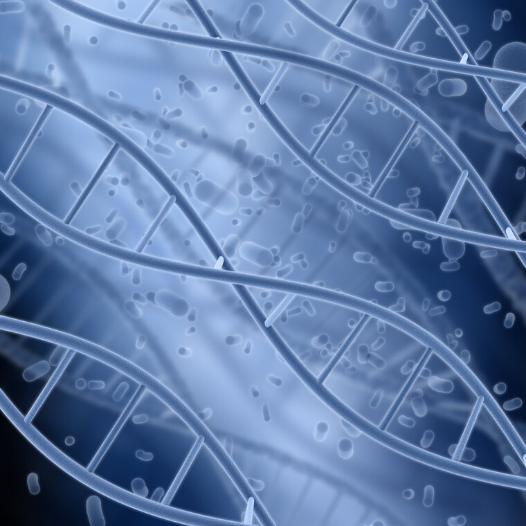 stem cell exosomes