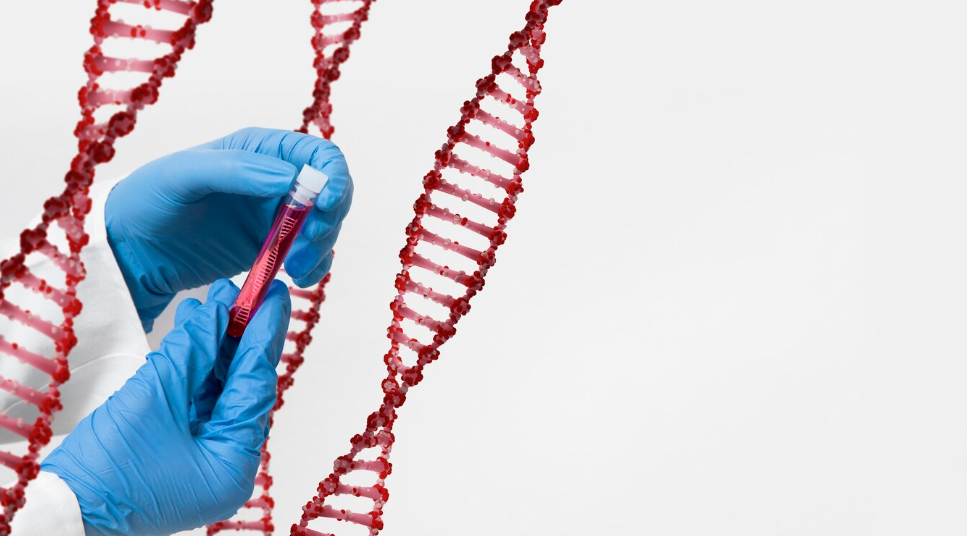 What is Stem Cell Therapy?
