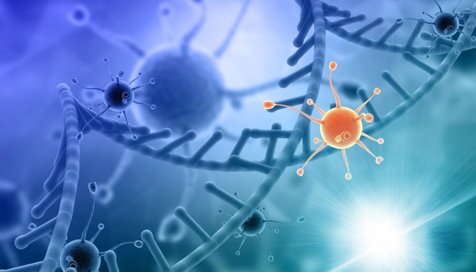 Stem Cell