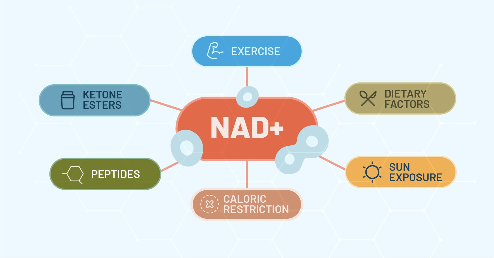 NAD Drip Therapy