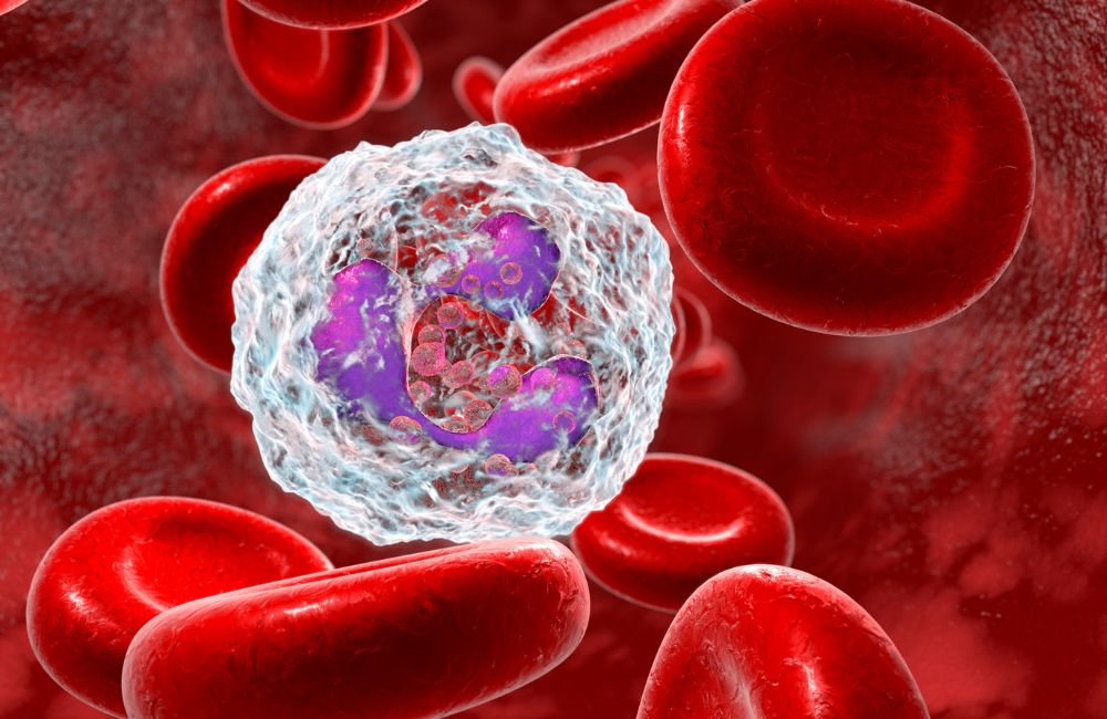 5. Modulating Immune Response