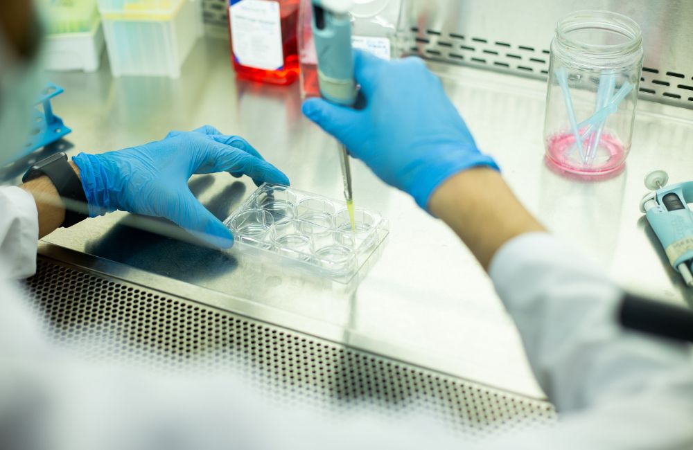 How to Choose the Right Stem Cell Therapy Clinic