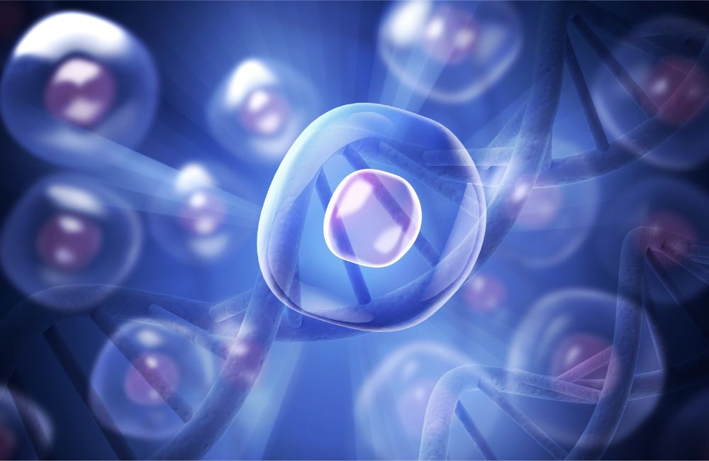 Improving Cardiovascular Health