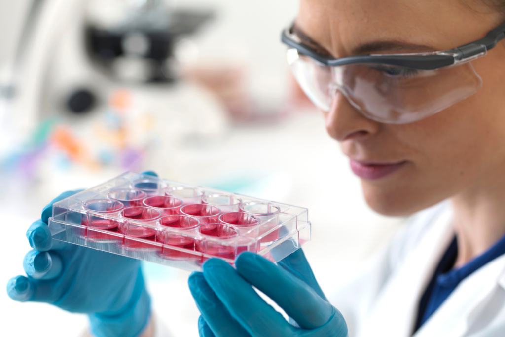 stem cell therapy