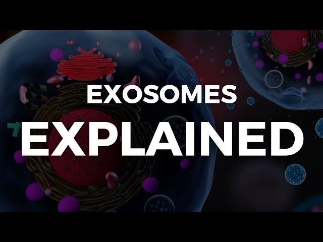 Exosomes explained